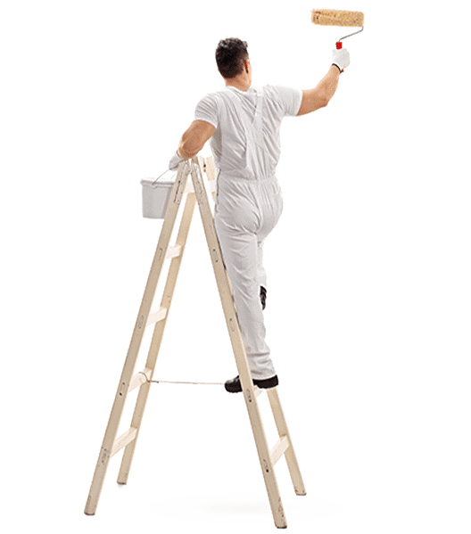 Painting-Wall-New Painting Services